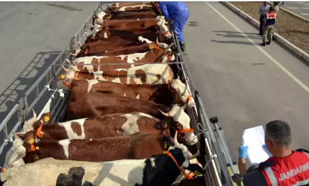 Foto - Murat Ülker Kurban Bayramı'ndaki hadiselere tepki gösterdi: Rahatsız edici bir durum