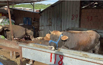 Foto - Murat Ülker Kurban Bayramı'ndaki hadiselere tepki gösterdi: Rahatsız edici bir durum