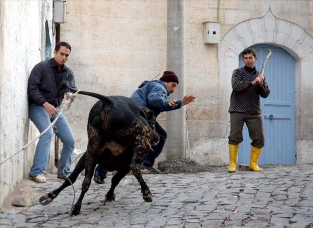 Foto - Murat Ülker Kurban Bayramı'ndaki hadiselere tepki gösterdi: Rahatsız edici bir durum