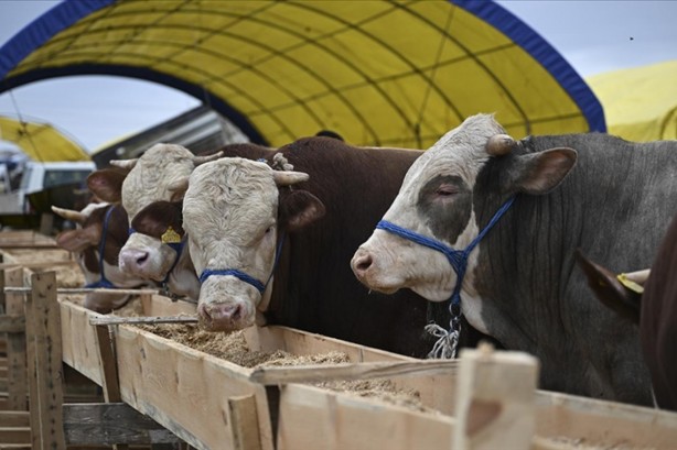 Foto - Murat Ülker Kurban Bayramı'ndaki hadiselere tepki gösterdi: Rahatsız edici bir durum