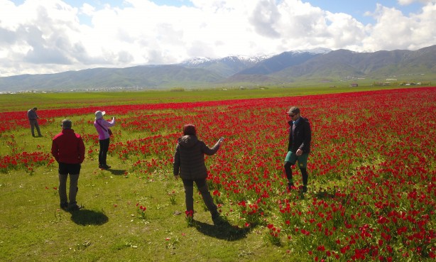 Foto - Muş Ovası kırmızıya büründü