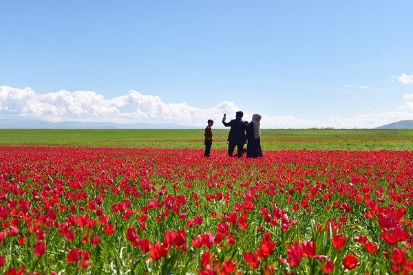 Foto - Muş Ovası kırmızıya büründü