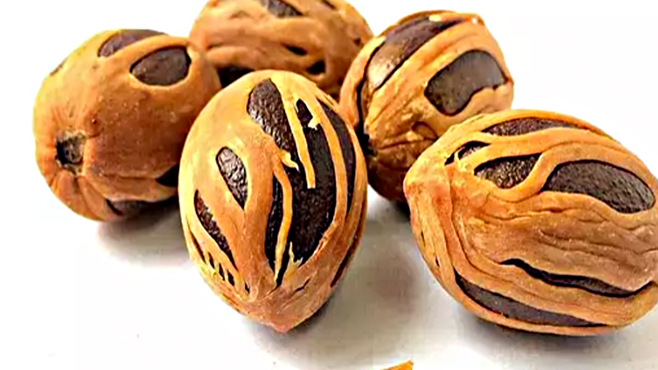 Foto - Muskat: Hint cevizi nedir? Kaş ve kirpiklere doğal güç! Uzmanlar mucizesini paylaştı!