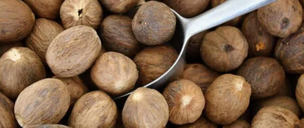 Foto - Muskat nedir sorusuna yanıt! Her canlı için doğal ilaç: Faydası herkesi şaşırttı! Grip ve nezle düşmanı