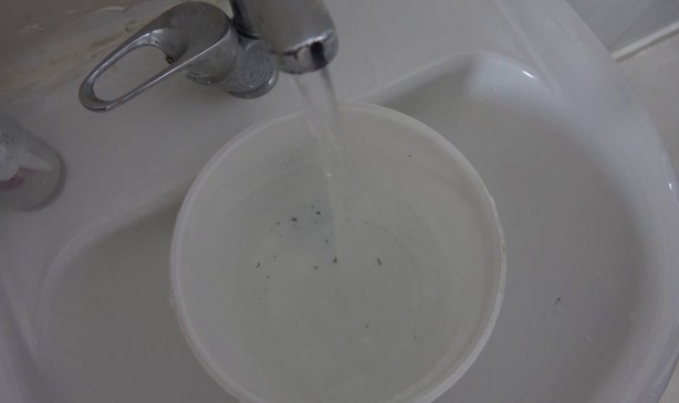 Foto - Musluklardan kurtçuk aktı