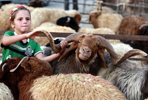 Foto - Müslüman ülkelerdeki birbirinden ilginç Kurban Bayramı gelenekleri şaşırtıyor