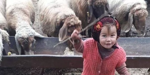 Foto - Müslüme ölüm nedeni ne? Müslüme neden niçin öldürüldü? Müslüme’nin dedesi neden tutuklandı?