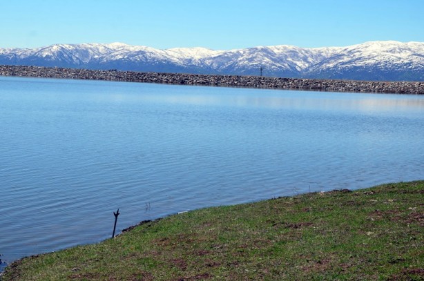 Muş’ta göletler yüzde 100 doldu