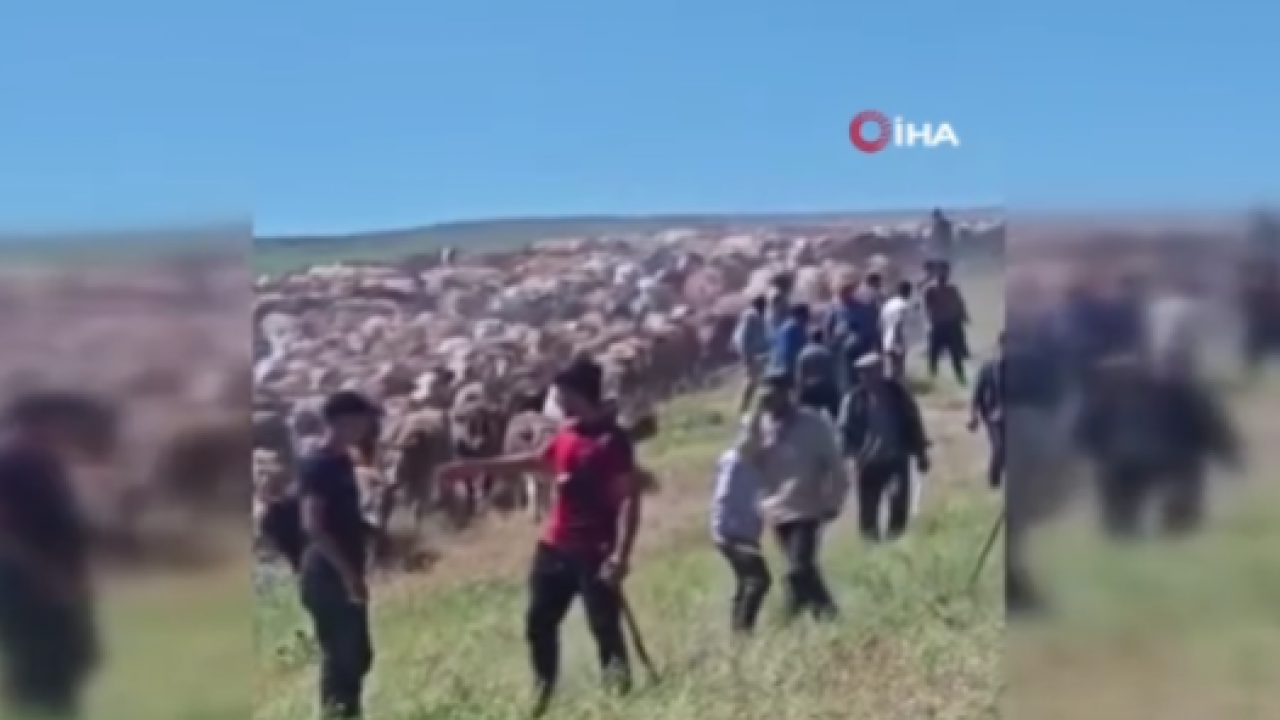 Muş’ta meralar paylaşılamadı! İki köy silahlarla birbirine girdi!