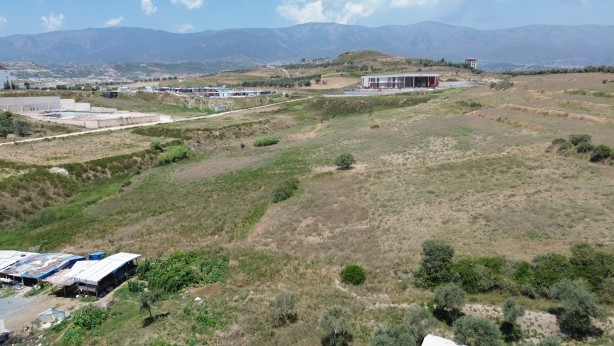 Foto - 85 bin TL’ye satın aldığı inek kayboldu