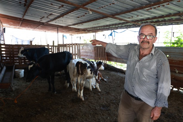 Foto - 85 bin TL’ye satın aldığı inek kayboldu