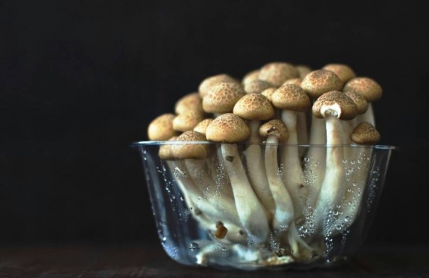 Foto - Mutfağımızın vazgeçilmezi! İşte mantar yemeden bilmeniz gereken 25 gerçek