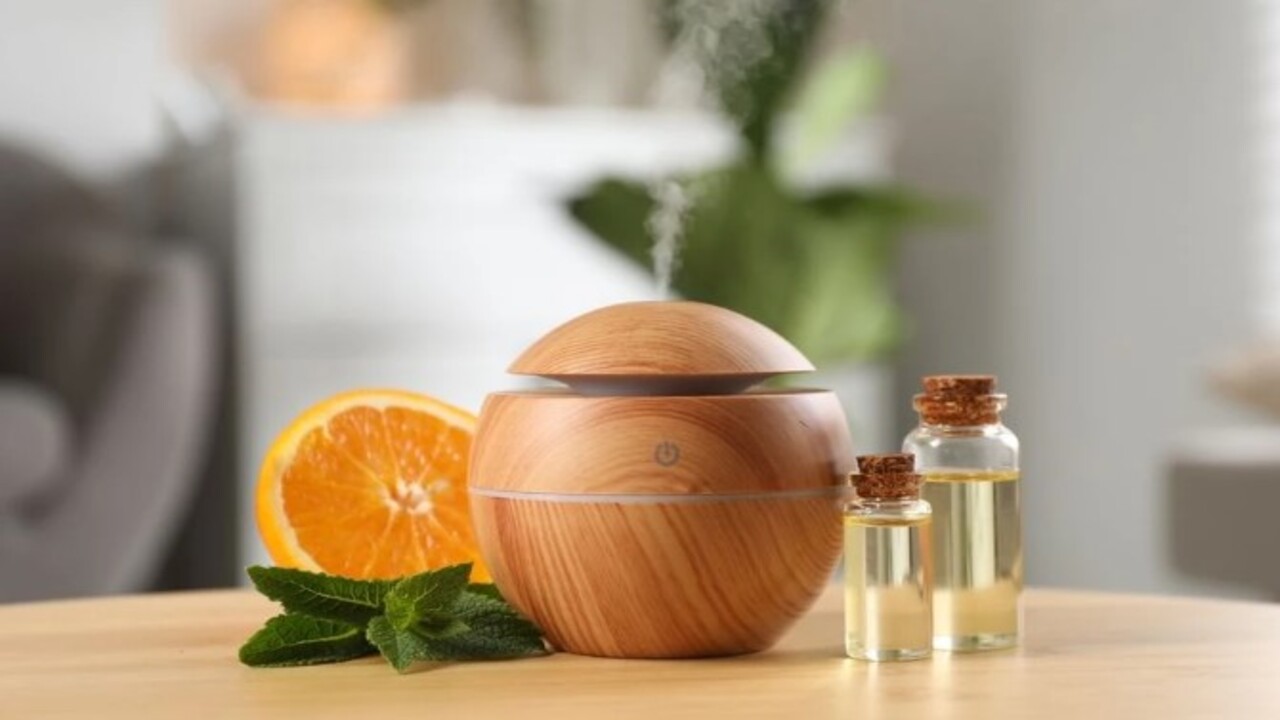 Foto - Mutfağınızda bir tane bile görmeyeceksiniz! İşte sinek ve haşereleri uzaklaştırmanın kolay yolu