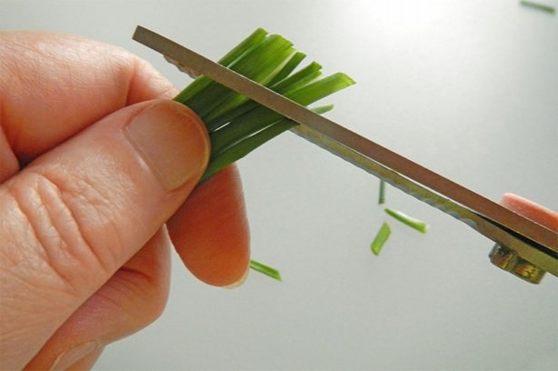 Foto - Mutfak aletlerinin garip kullanımları