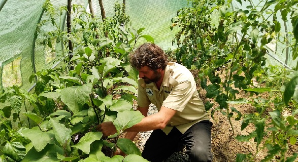 Foto - Mutfak atıklarından üretti! Bu gübre verimi öyle bir arttırdı ki