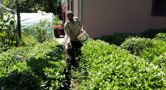 Foto - Mutfak atıklarından üretti! Bu gübre verimi öyle bir arttırdı ki