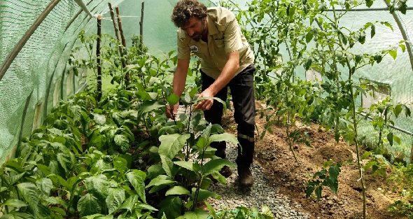 Foto - Mutfak atıklarından üretti! Bu gübre verimi öyle bir arttırdı ki