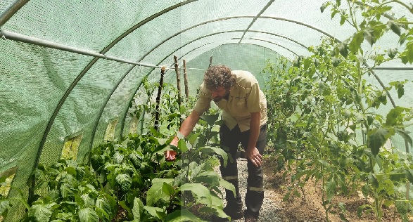 Foto - Mutfak atıklarından üretti! Bu gübre verimi öyle bir arttırdı ki