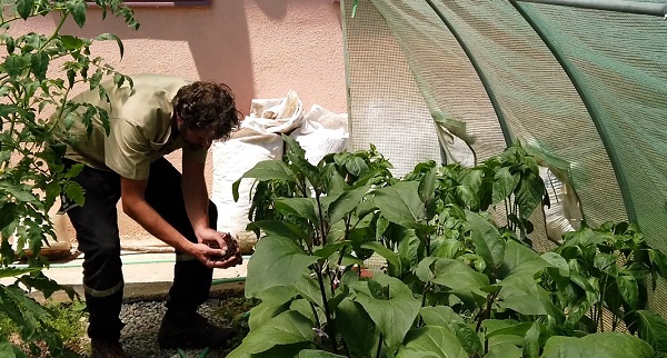 Foto - Mutfak atıklarından üretti! Bu gübre verimi öyle bir arttırdı ki