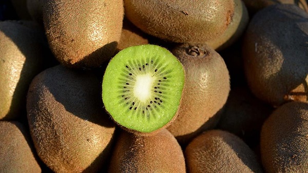 Foto - Mutfaklarınızdan eksik etmeyin! Bu besinler vücutta nikotin bırakmıyor