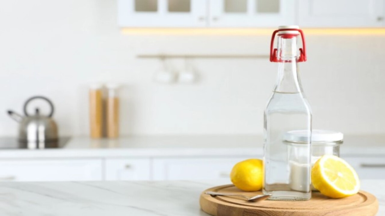 Foto - Mutfakta bir daha görmeyeceksiniz! İşte karıncalardan kurtulmanın kolay yolu