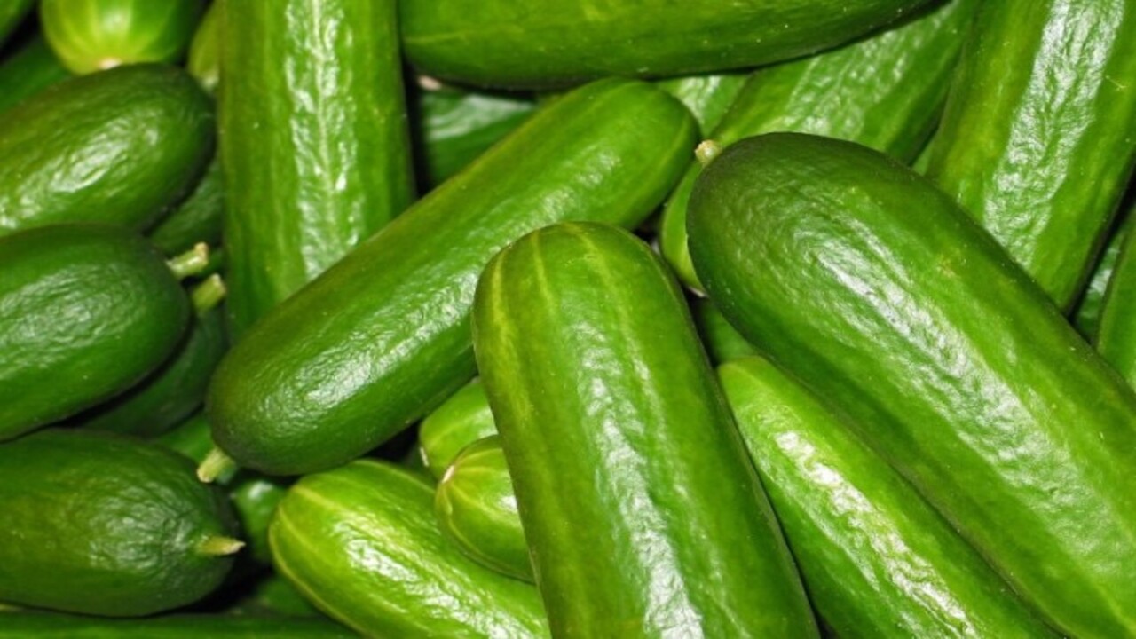 Foto - Mutfakta bir daha görmeyeceksiniz! İşte karıncalardan kurtulmanın kolay yolu