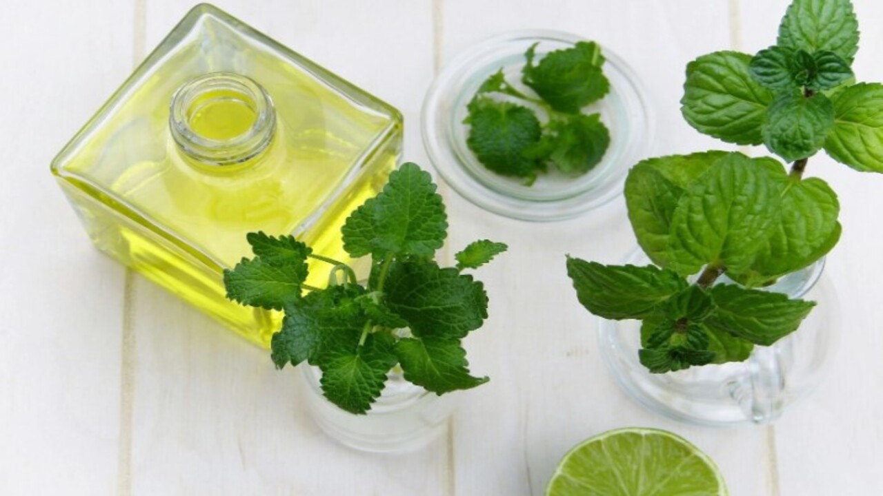 Foto - Mutfakta bir daha görmeyeceksiniz! İşte karıncalardan kurtulmanın kolay yolu