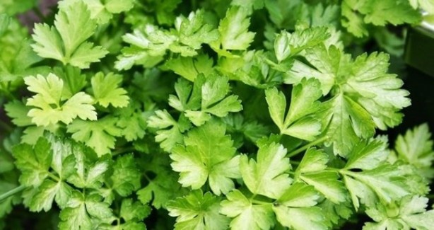 Foto - Mutfakta işinize yarayacak 12 pratik bilgi