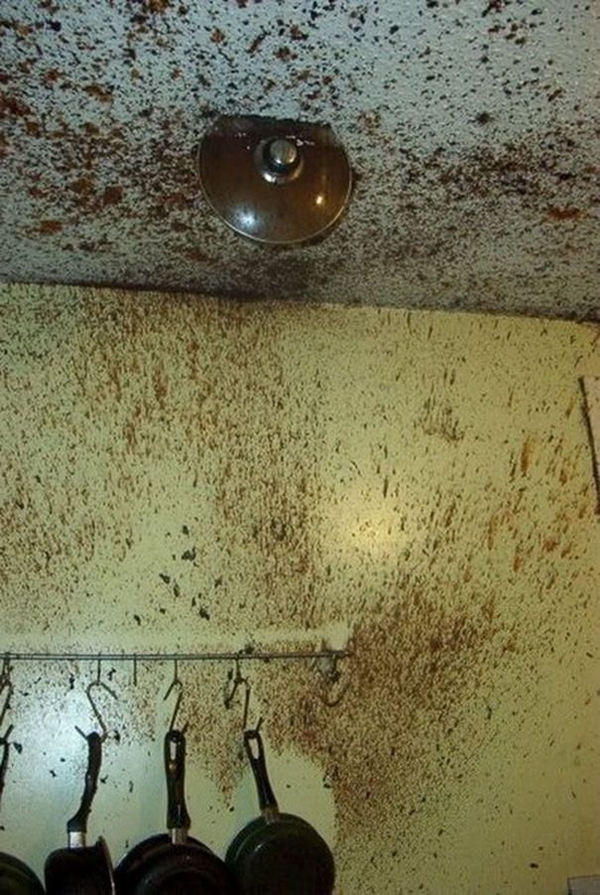 Foto - Mutfakta kötü olduğunuzu mu düşünüyorsunuz? Bir de bunlara bakın!