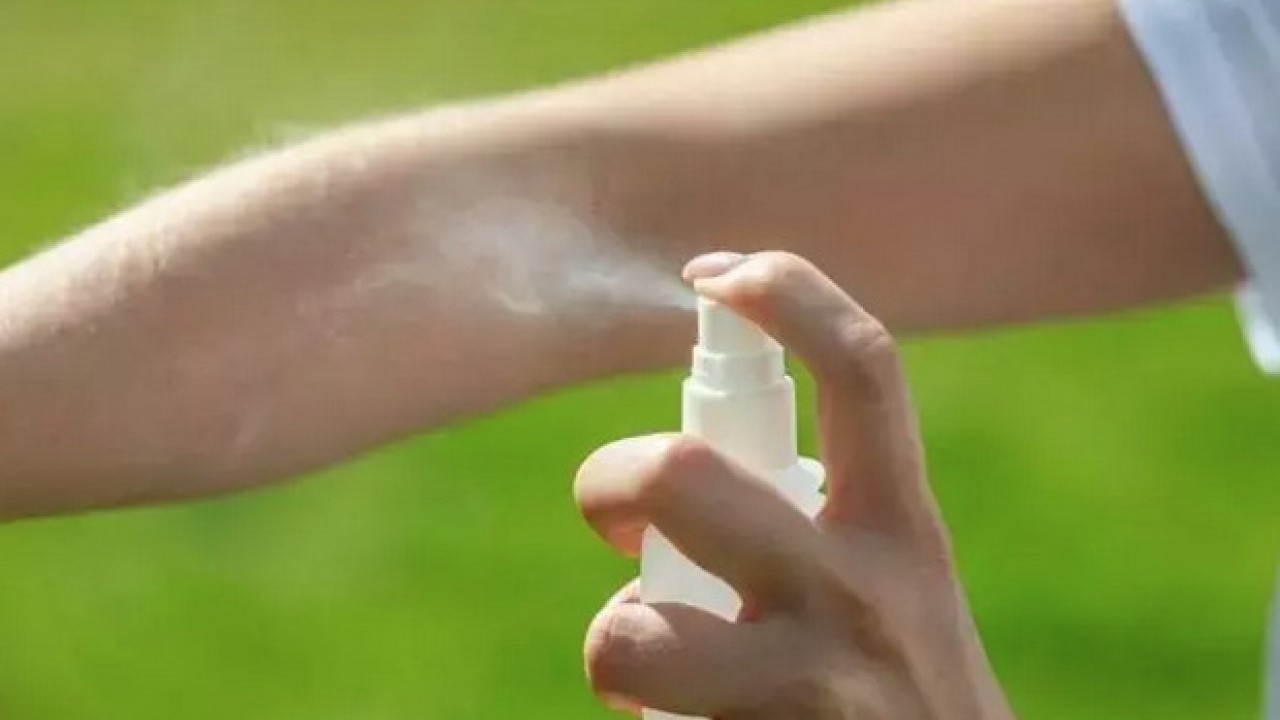 Foto - Mutfaktaki karıncalara son veriyor: 2 parça koyunca, hoş koku yayıyor! Doğal yolları