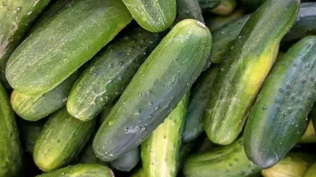 Foto - Mutfaktaki karıncalara son veriyor: 2 parça koyunca, hoş koku yayıyor! Doğal yolları