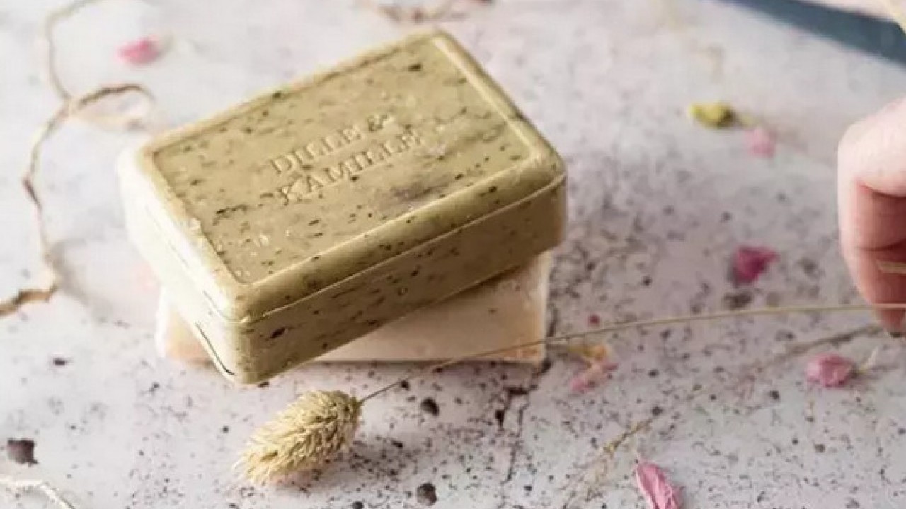 Foto - Mutfaktaki karıncalara son veriyor: 2 parça koyunca, hoş koku yayıyor! Doğal yolları