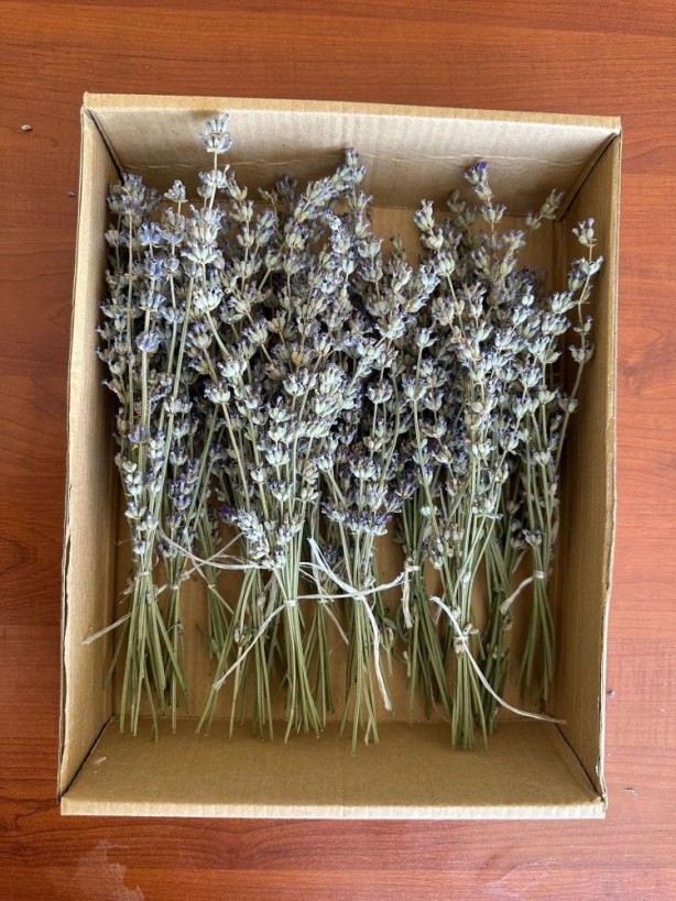 Foto - Müthiş başarı! Bir yanda köy okulu diğer yanda Almanya