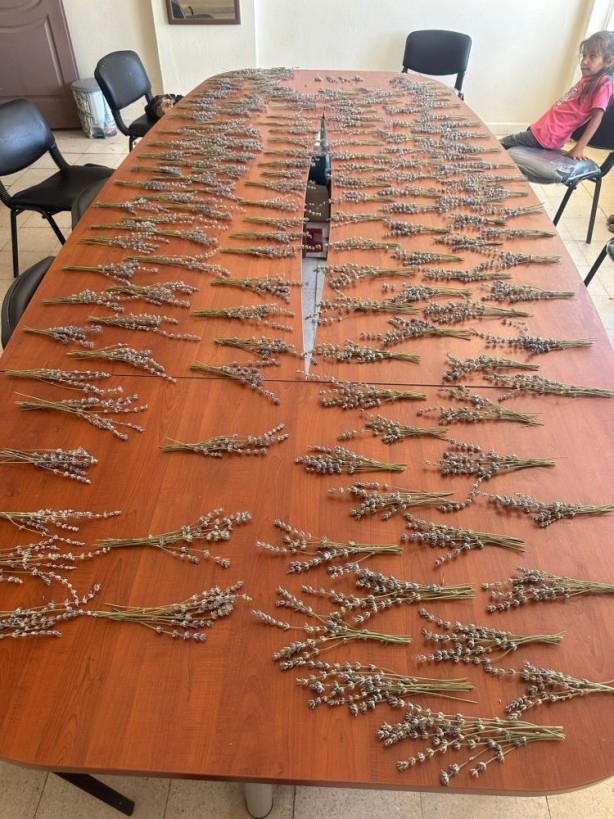 Foto - Müthiş başarı! Bir yanda köy okulu diğer yanda Almanya