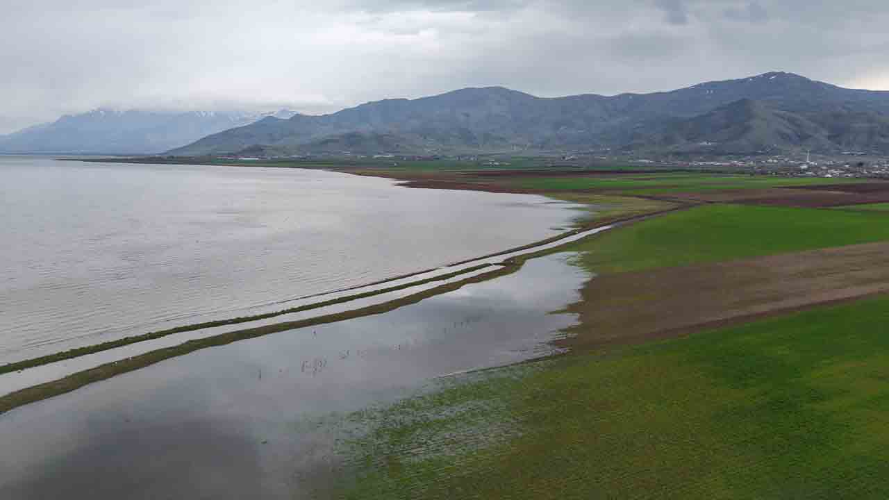 Müthiş değişim fotoğraflara yansıdı: 7 yılda nereden nereye