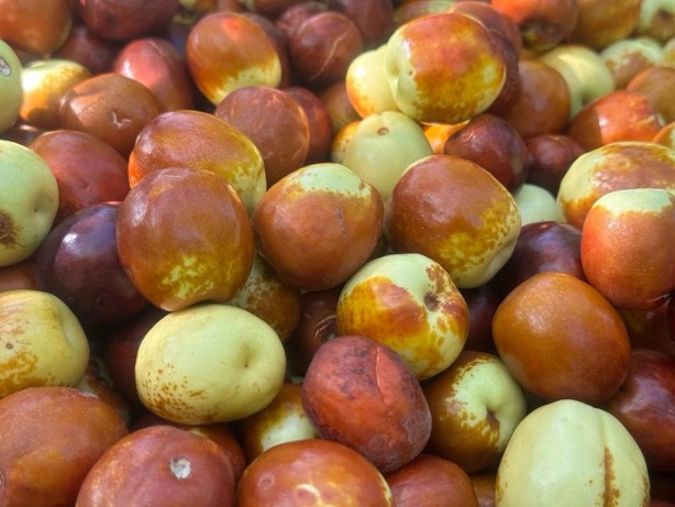 Foto - Müthiş gündem oldu! Diğerleri yok olacak gibi... 8 yıldır doktora götürmüyor!