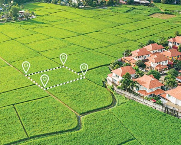 Foto - Müthiş haber! Duyanlar, başvurmak için işi gücü bırakıp koşuyor