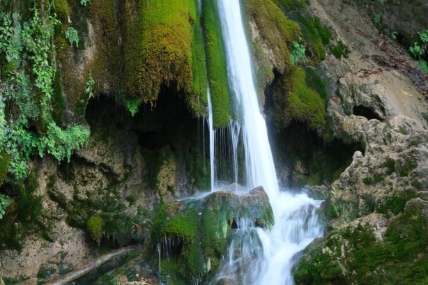 Foto - Müthiş haber! Hatay'da bulundu