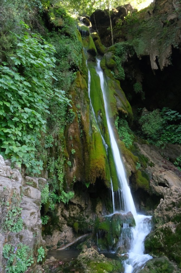 Foto - Müthiş haber! Hatay'da bulundu