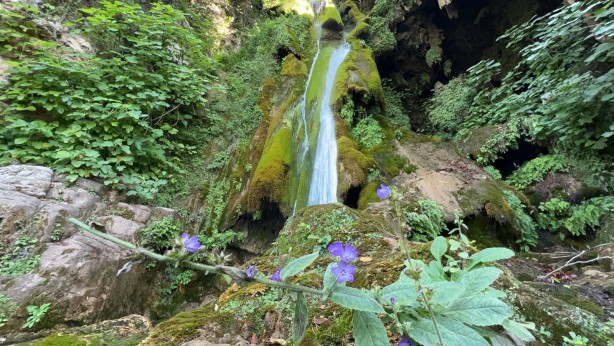 Foto - Müthiş haber! Hatay'da bulundu
