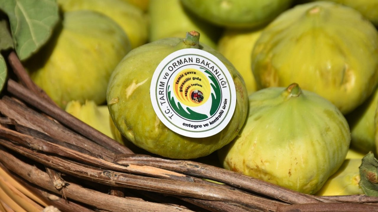 Foto - Müthiş uygulama! Organik üretime 'mavi bayrak'