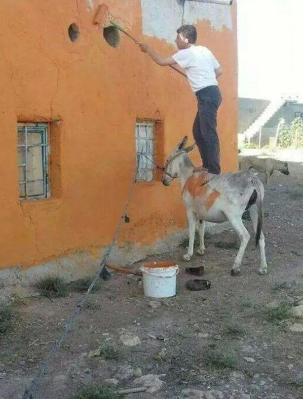 Foto - Müthiş zeka... Dünya bu Türkleri konuşuyor