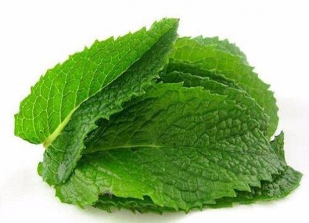 Foto - Mutlaka balla karıştırın!