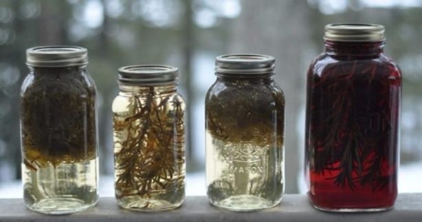 Foto - Mutlaka balla karıştırın!