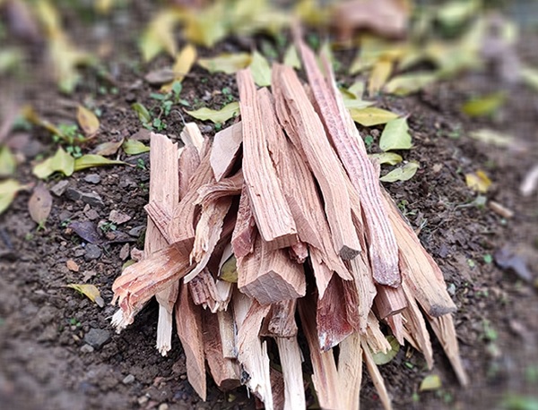Foto - Mutlaka damacanaya bir parça atın! İşte çıra suyunun inanması güç faydaları