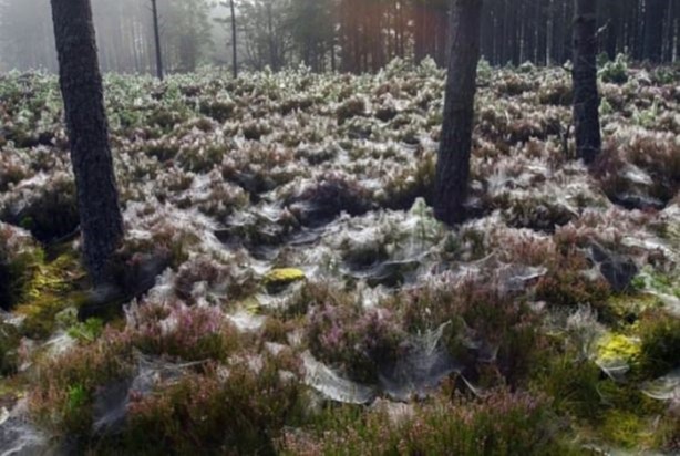 Foto - Mutlaka görmelisiniz!