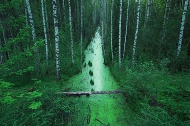 Foto - Mutlaka görmelisiniz!