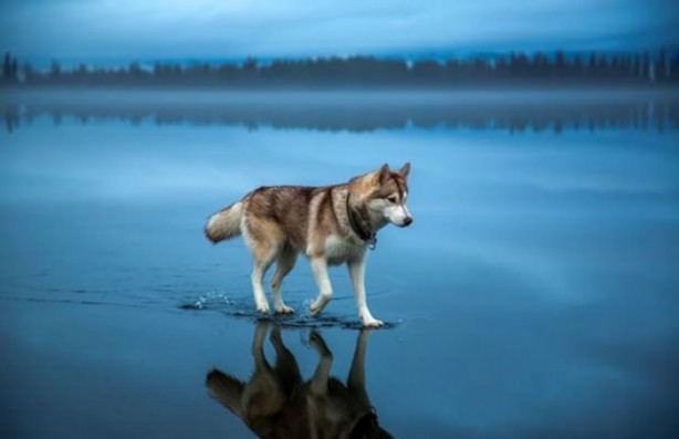 Foto - Mutlaka görmelisiniz!