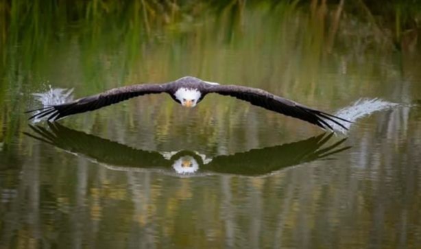Foto - Mutlaka görmelisiniz!