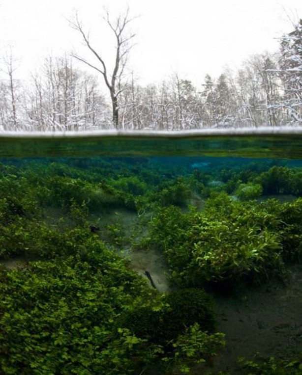 Foto - Mutlaka görmelisiniz!